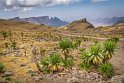 160 Simien Mountains